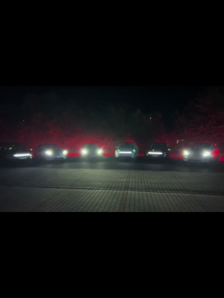 @Tesla Max