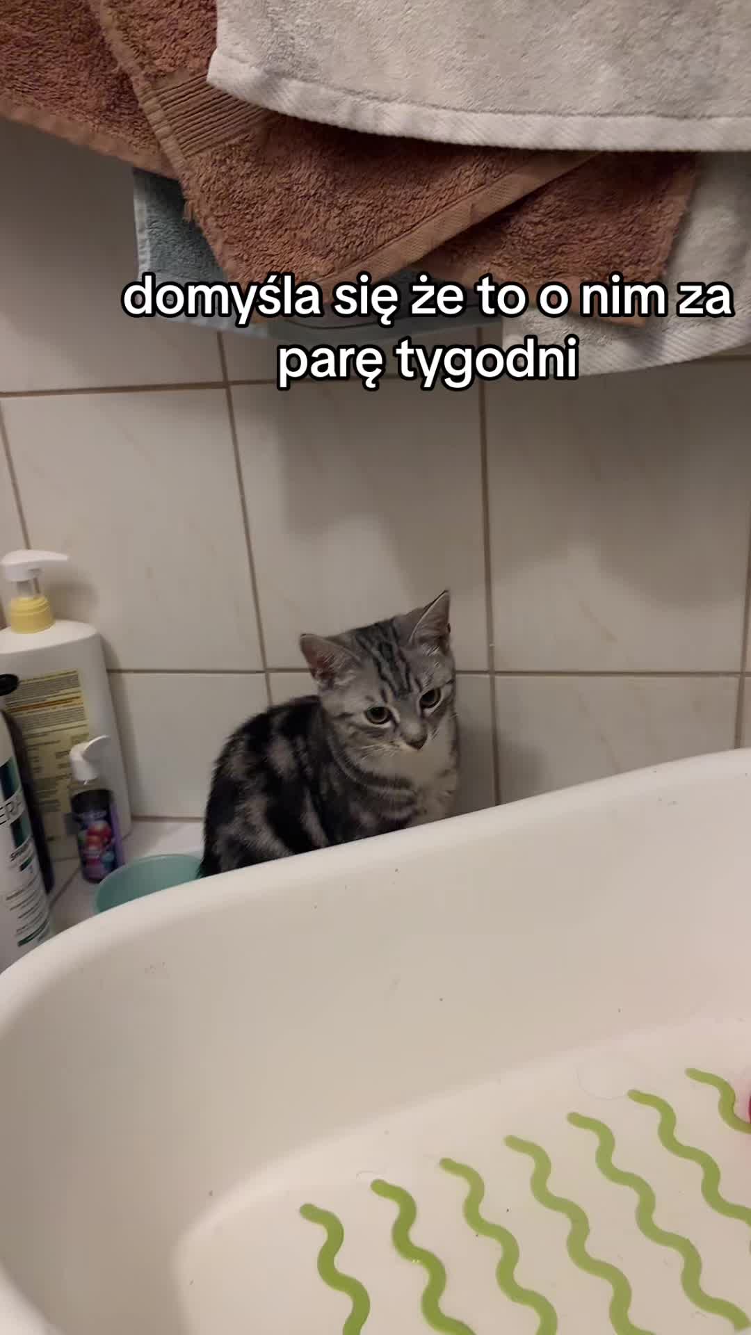 @ola