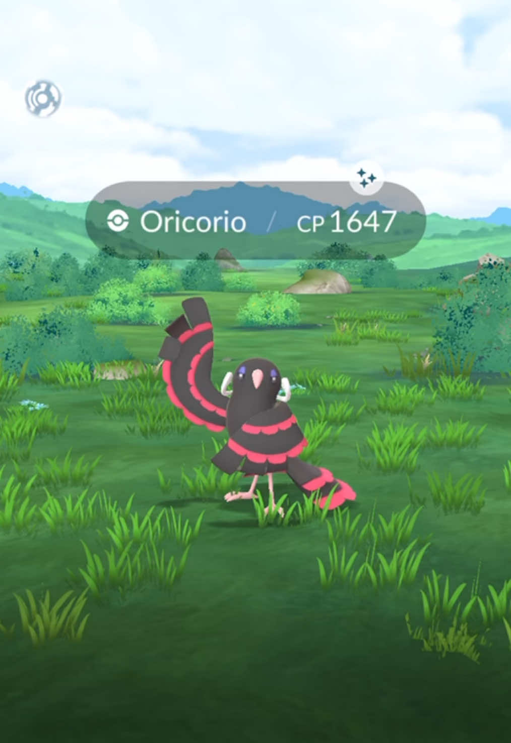 @pokebloxy