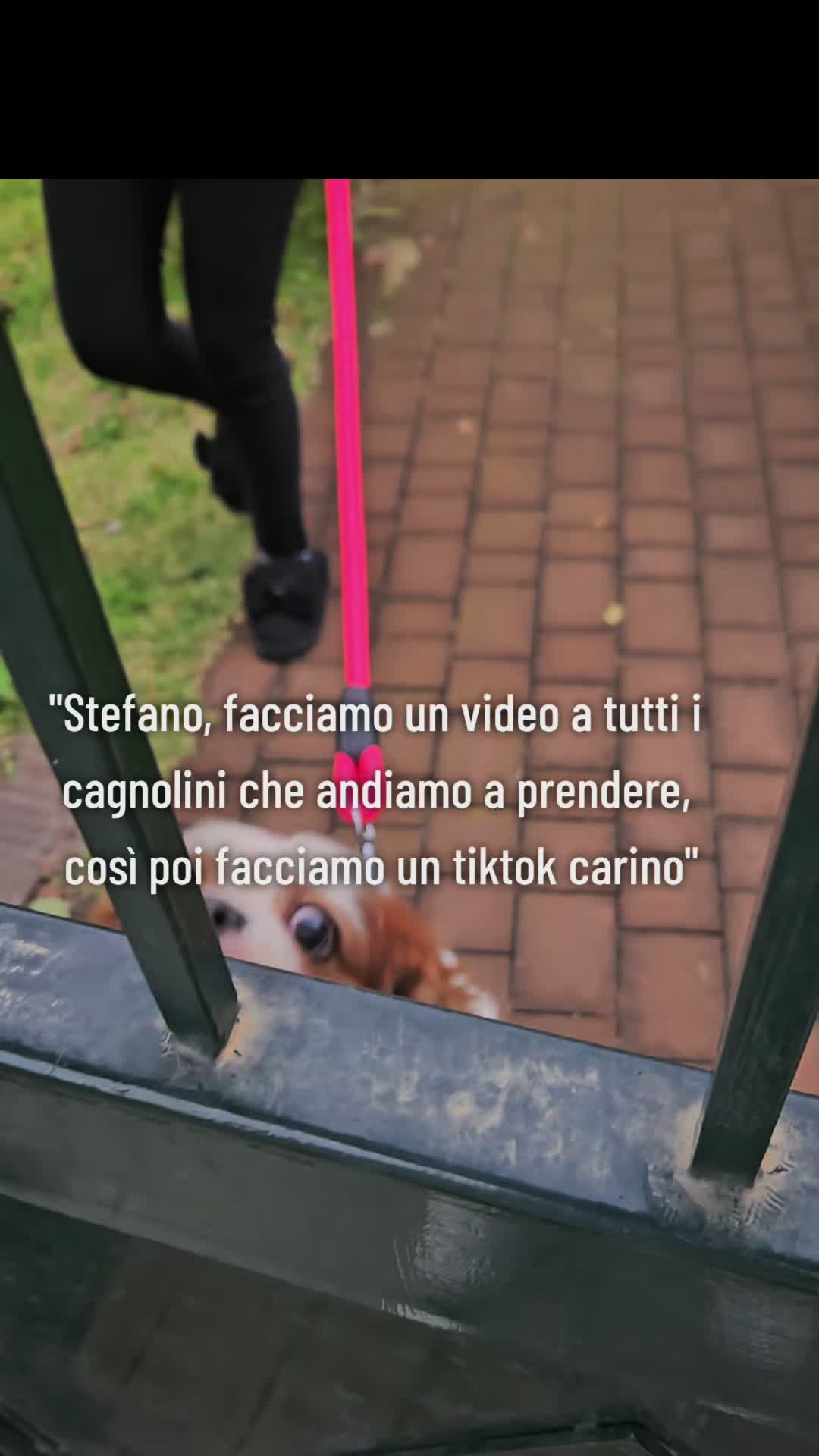 @Giorgia ♊️