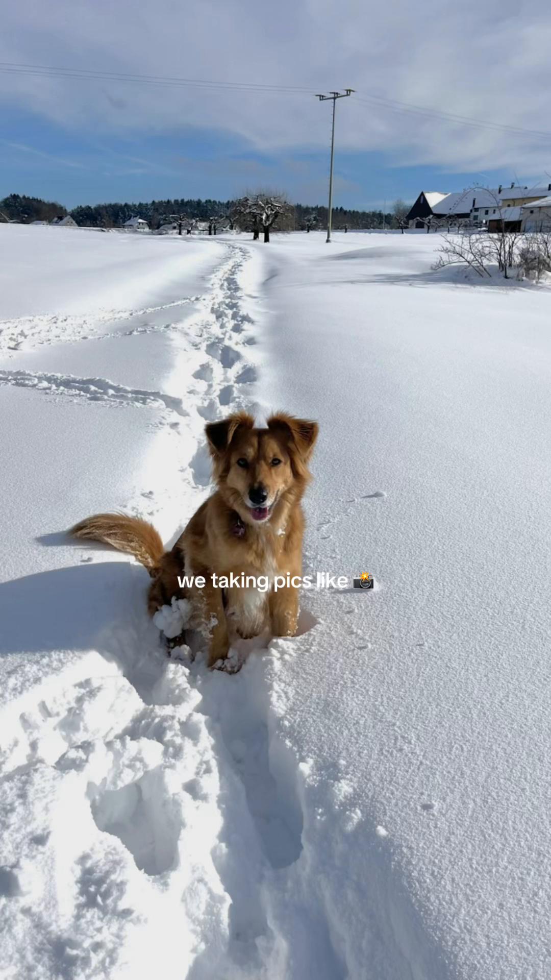 @Elisa & Sunny 🐶