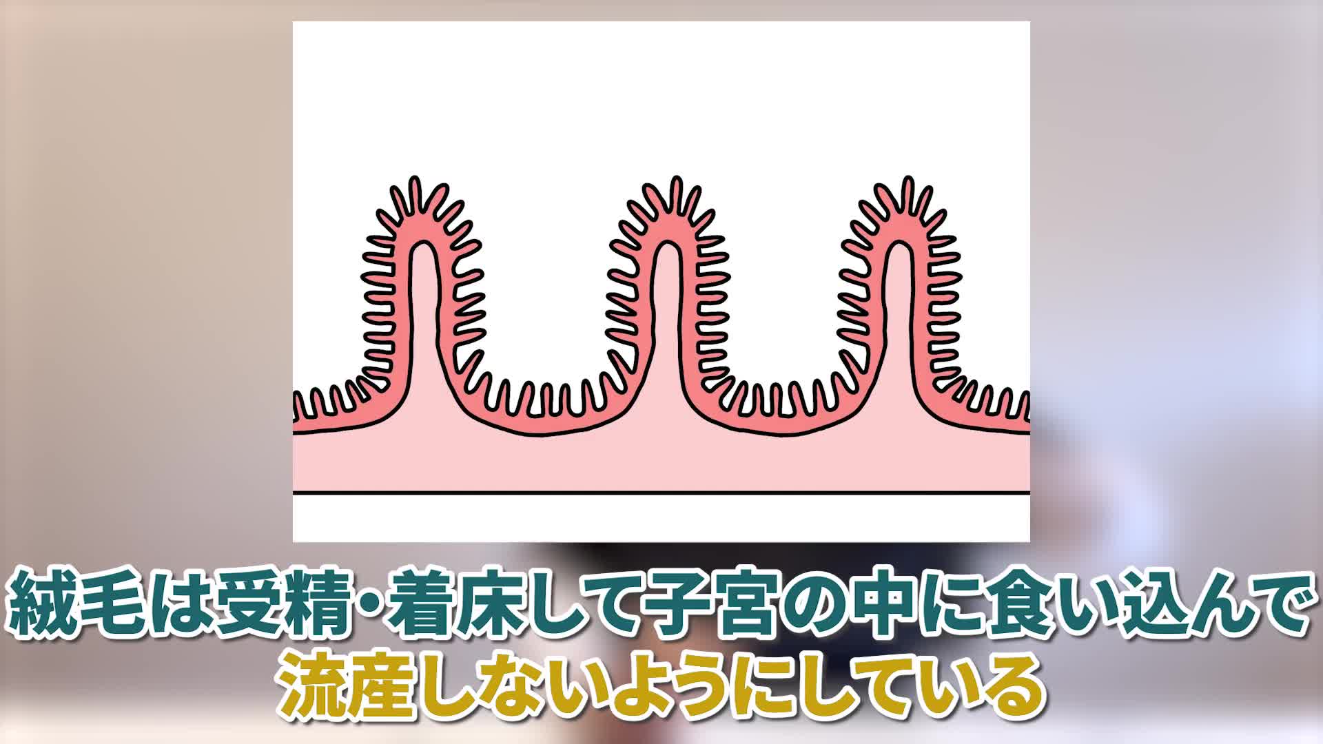 @ホッとできる!産婦人科チャンネル