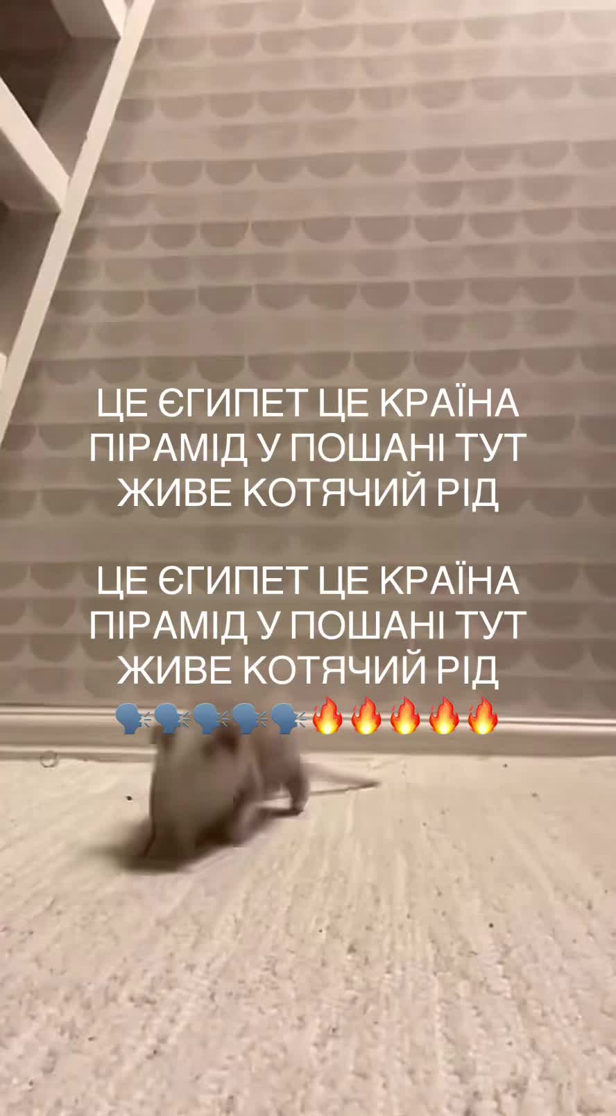 @мєгаладон