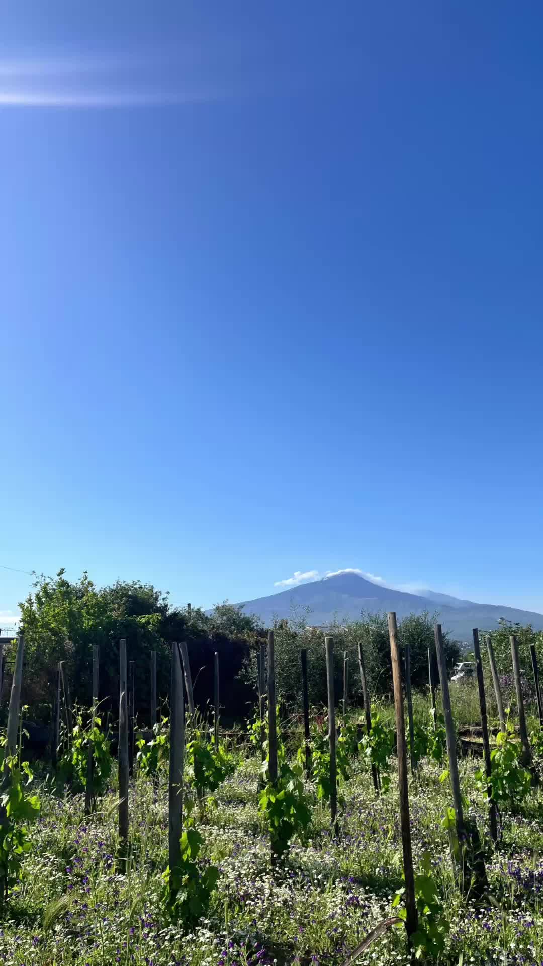 @Etna Urban Winery