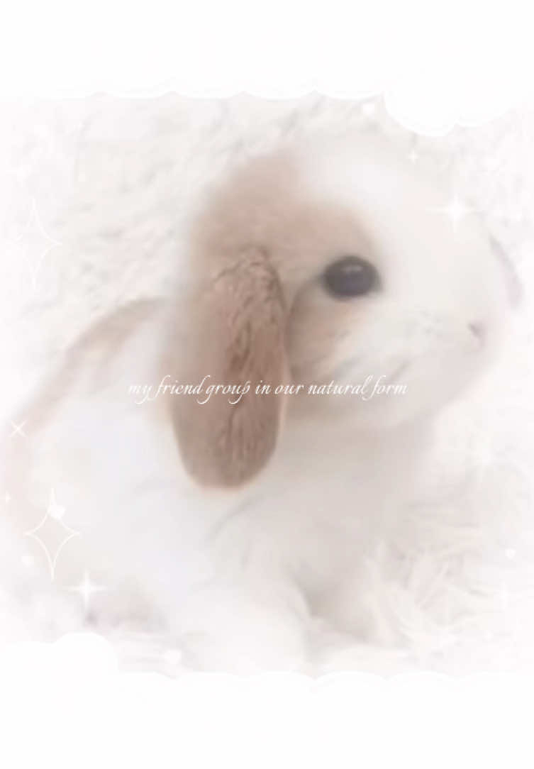 @𝒷ℯ𝓁𝓁: 𝓋𝒶𝓃𝒾𝓈𝒽ℯ𝒹 ｡⋆♡