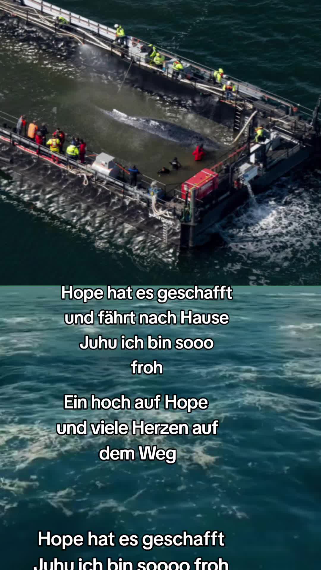 @Hope_for_the_Animals 🇦🇹