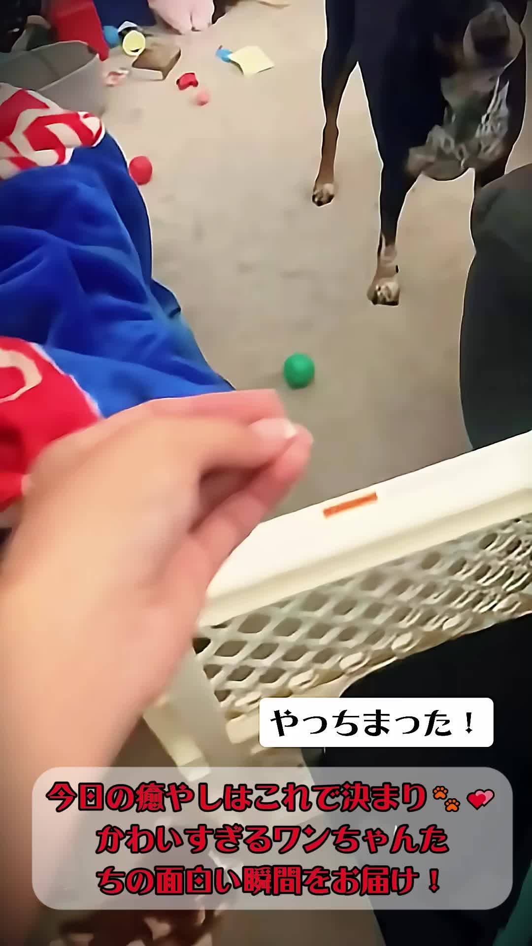 @こやかラボ - Sukoyaka Labo