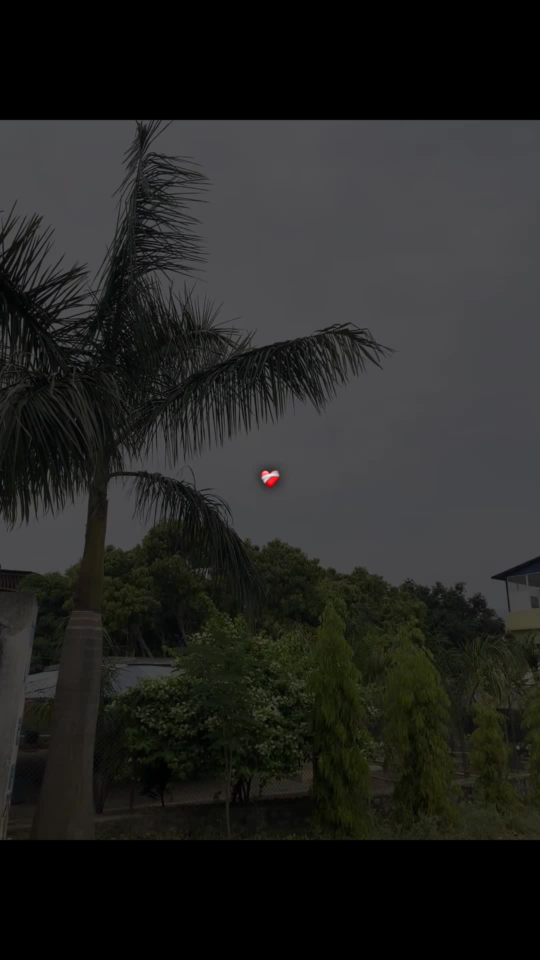 @ललित ♡︎