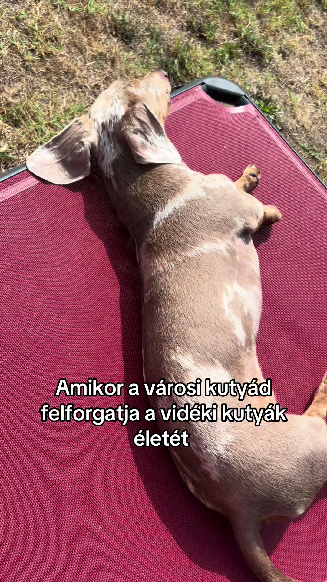 @JellyandMe