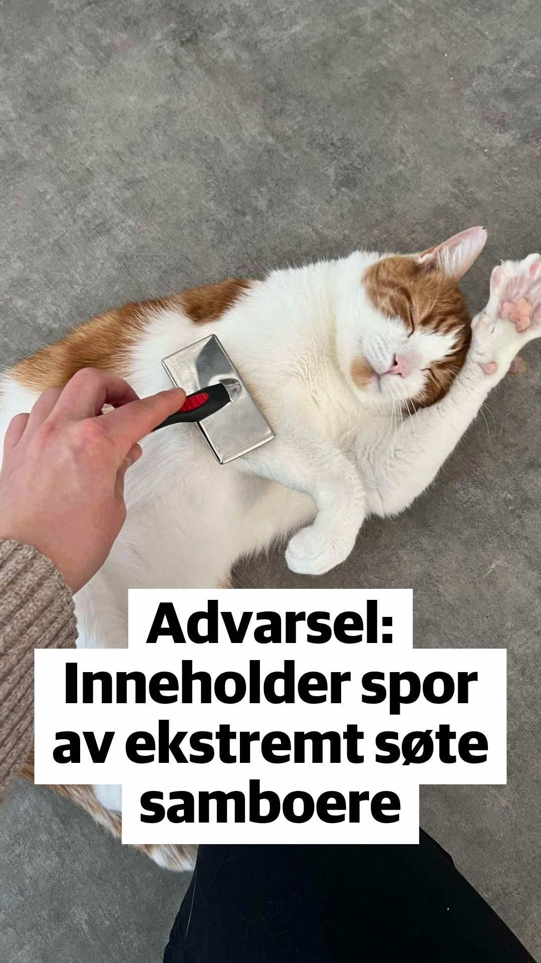 @Tr&oslash;nder-Avisa