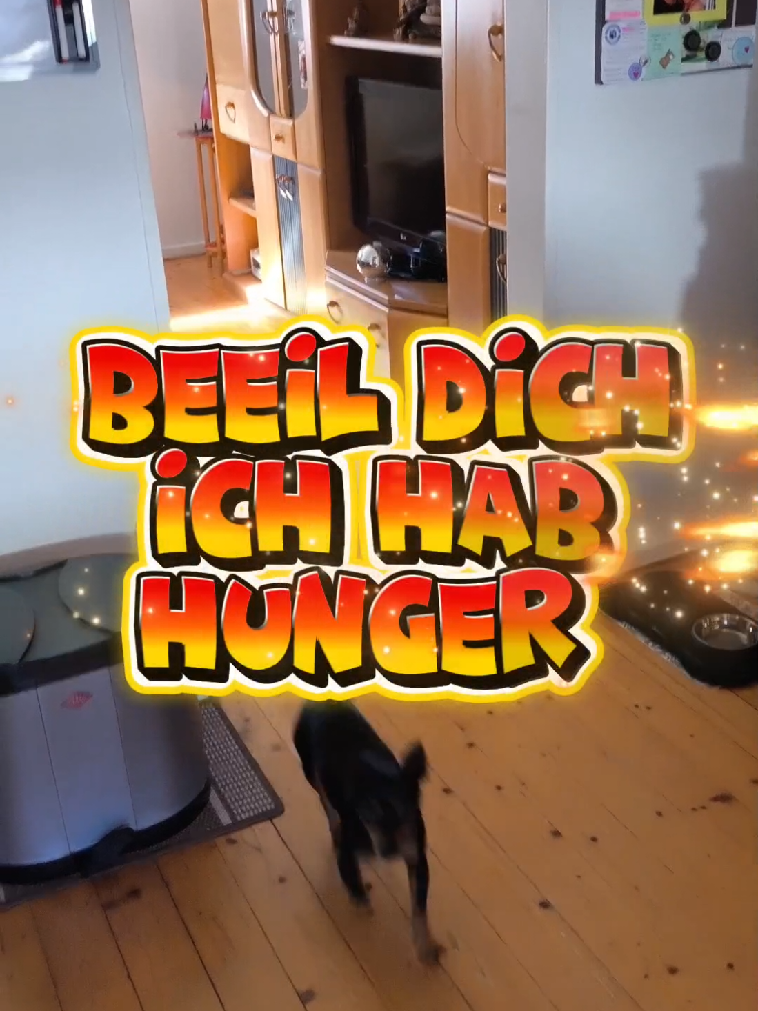 @ICH BIN'S