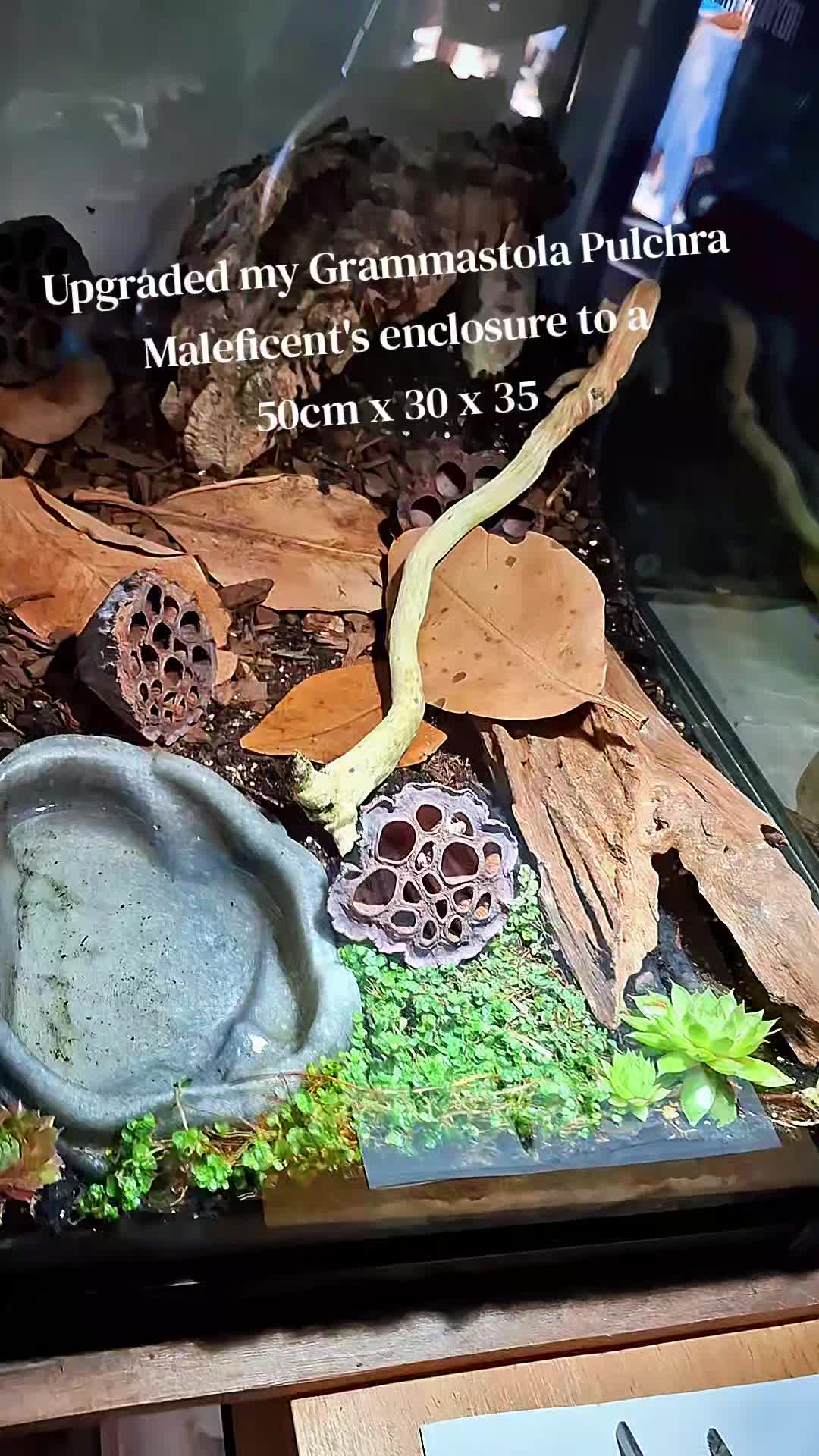 @#genxandherpets