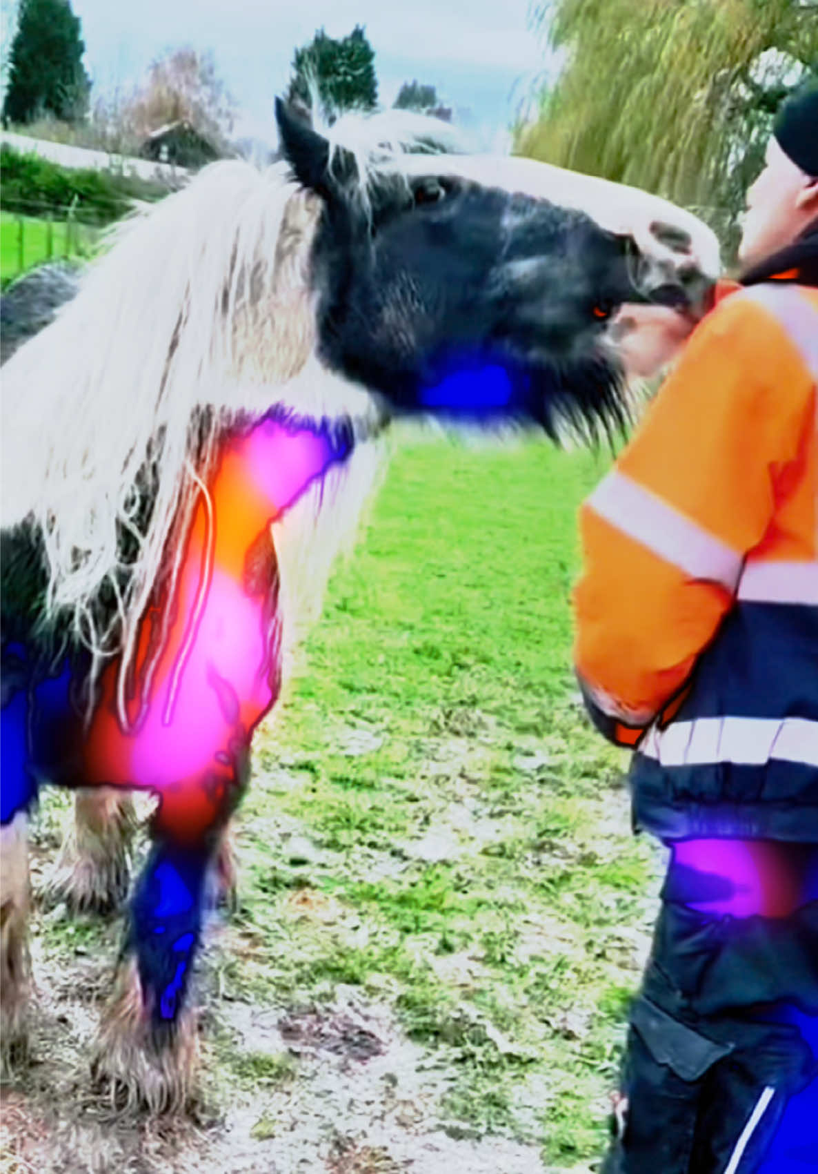 @EarthAngel 🐎