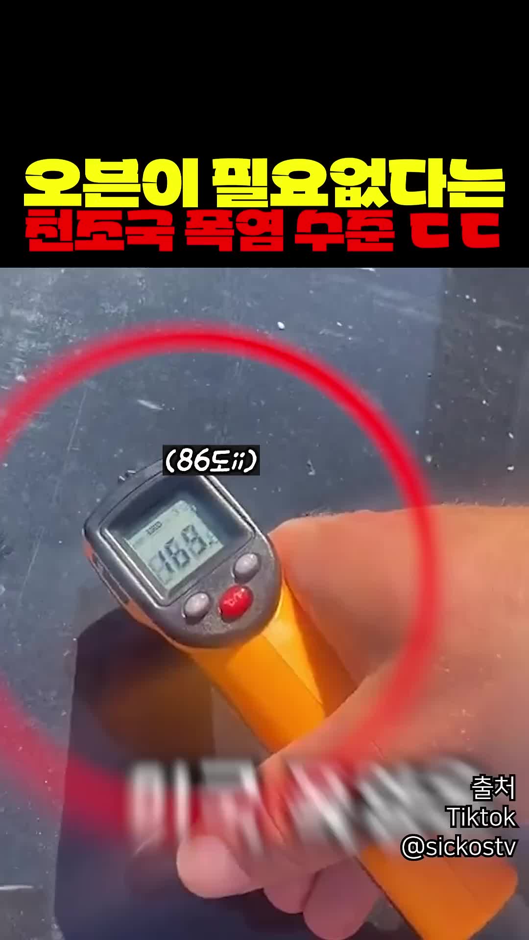 @짱아까미