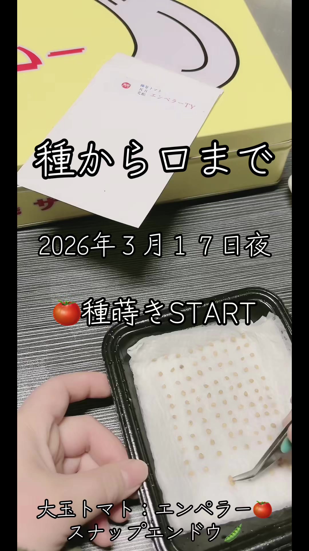 @美味しいトマトの研究所🍅🦌