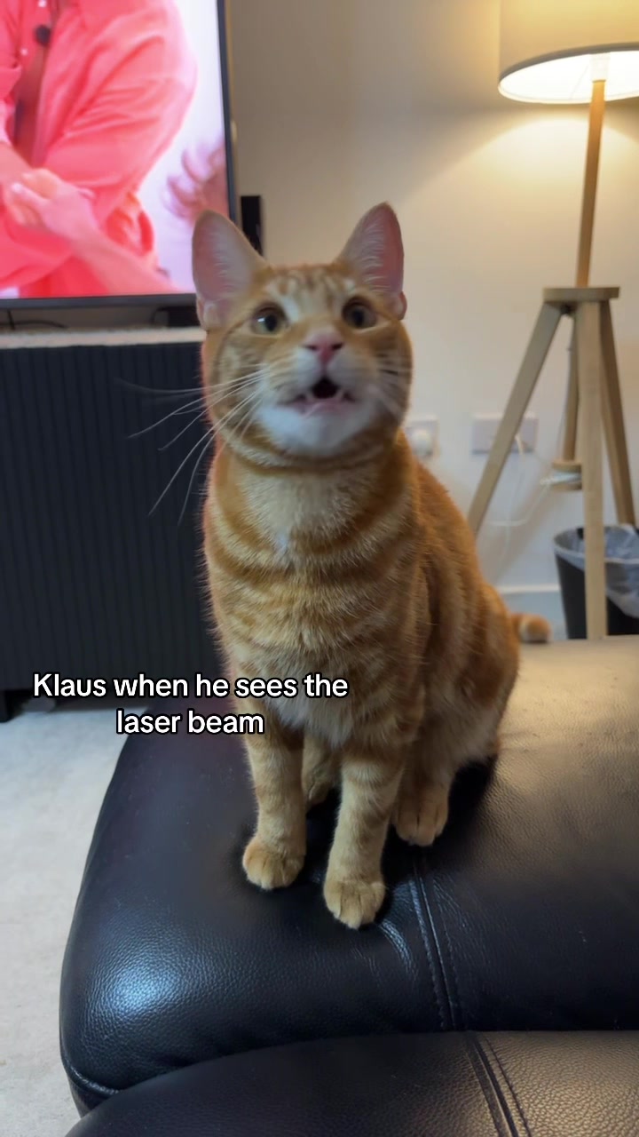 @Klaus