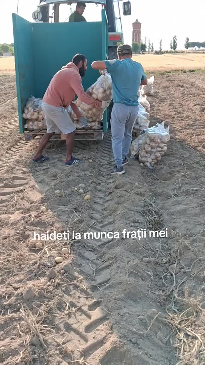@Milion Espaniolu