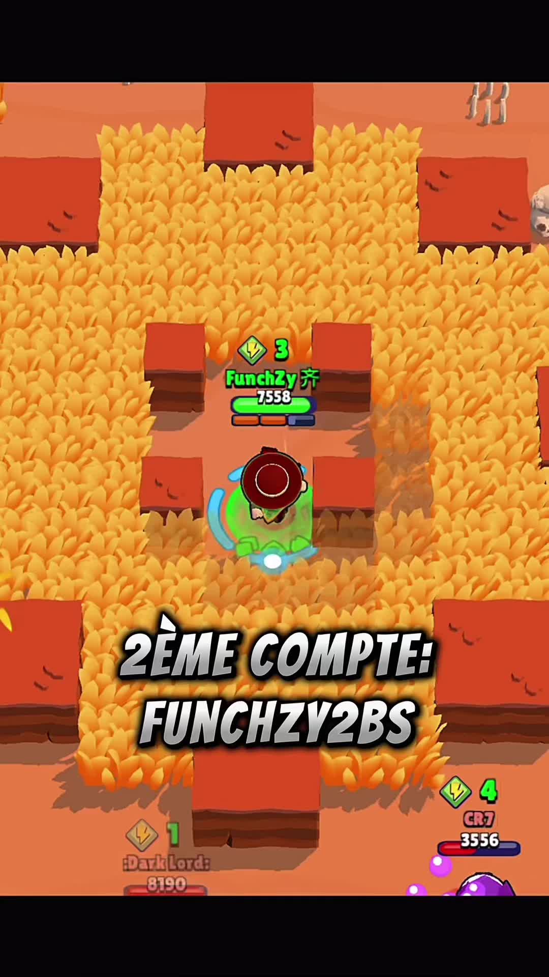 @funchzy_bs