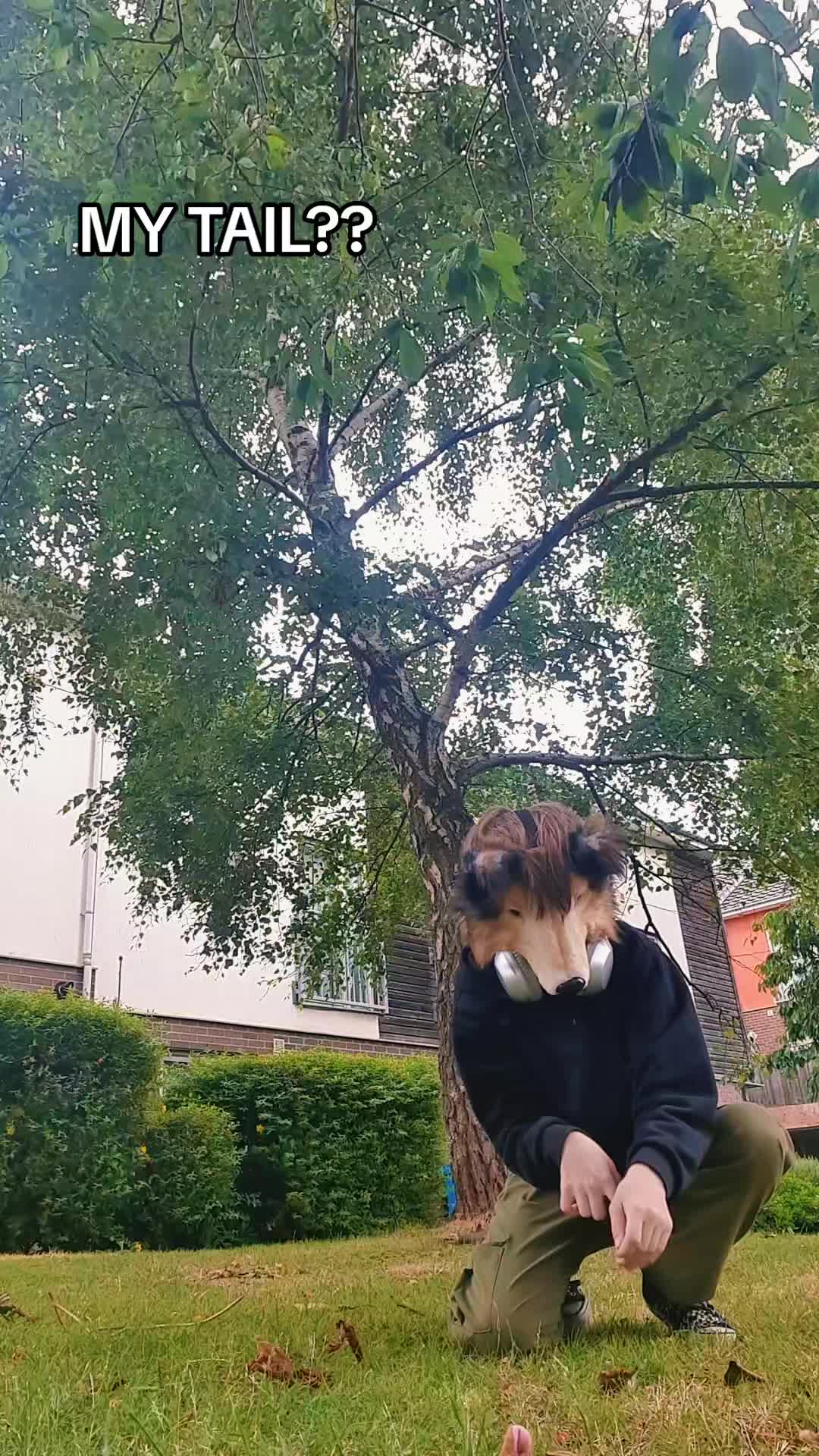 @🎸⭐☆𝐏&upsilon;&rho;&rho;у-ᖴᗩᑎG☆🦴🐾