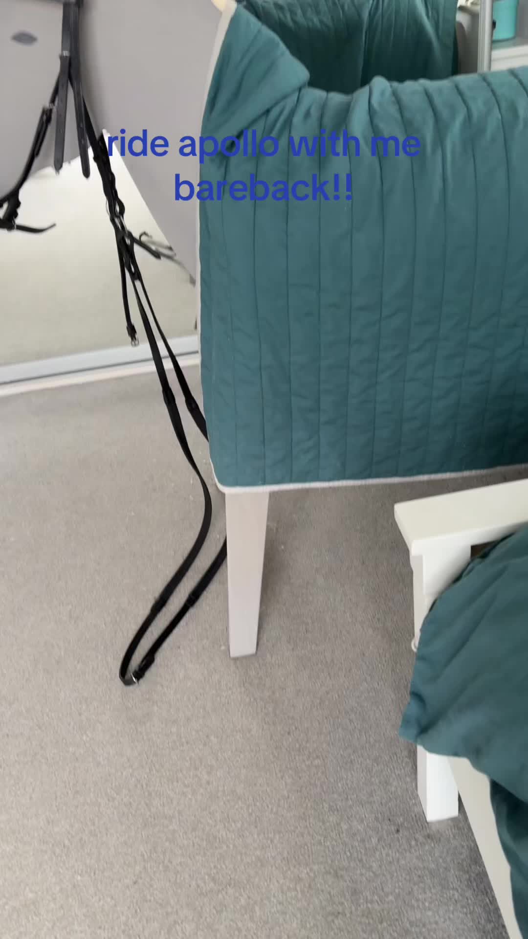 @that horse