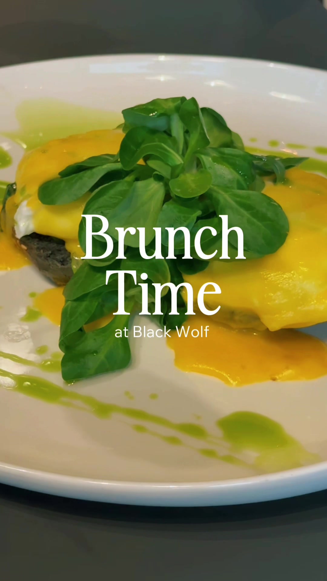 @Black Wolf Oradea