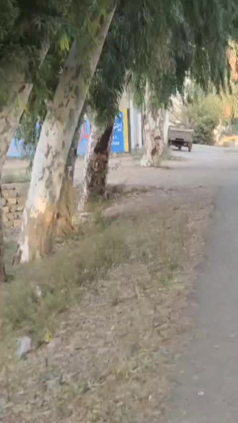 @Kohat_ka_dil