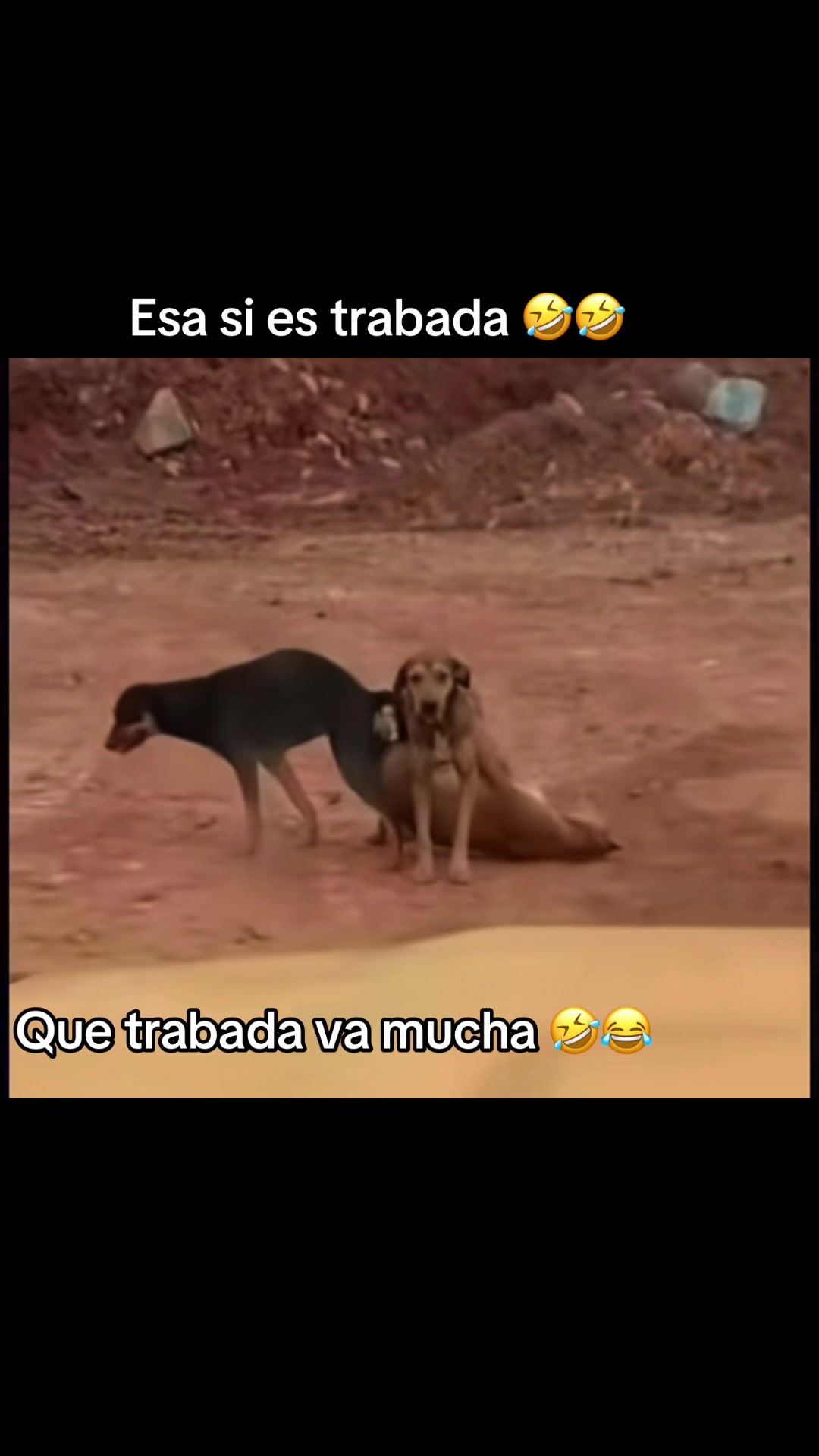 @flaka chapina