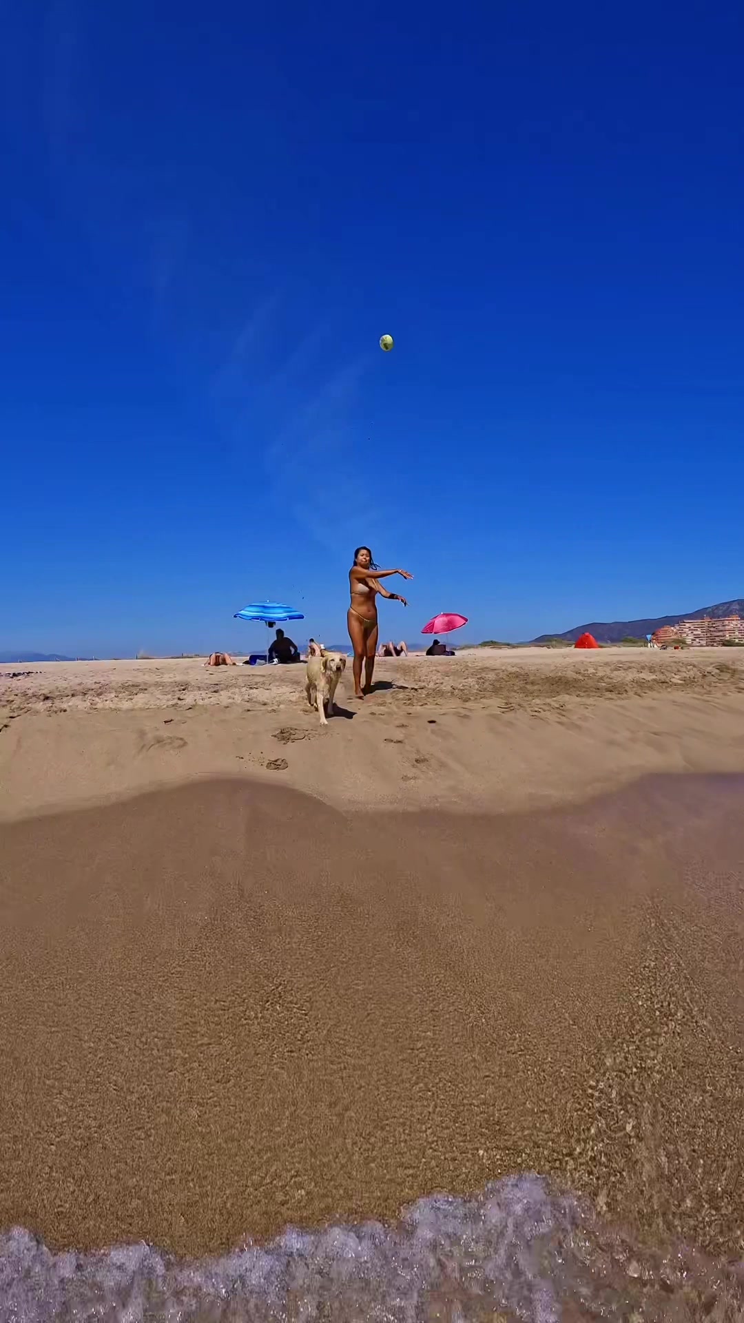 @irene_d74