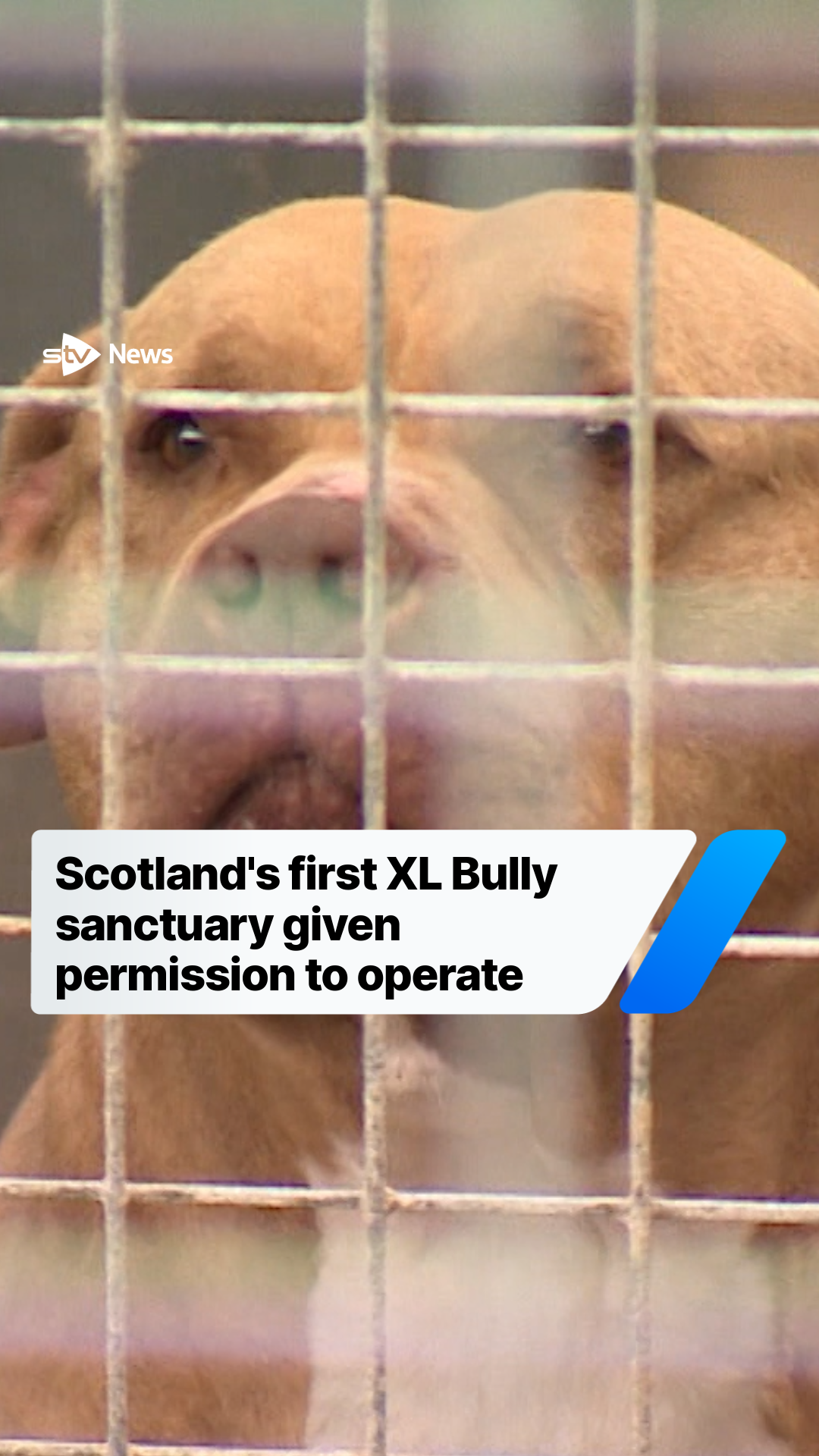 @STV News