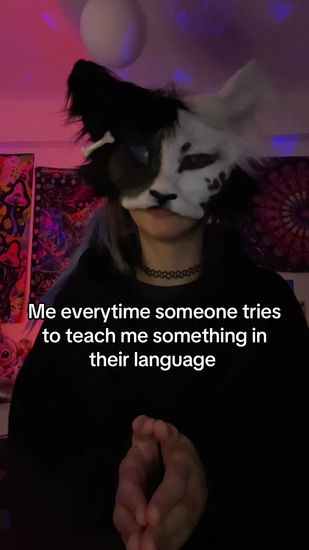 @⋆🐾&deg; ~𝓐𝓻𝓲𝓷~ 𓇢𓆸