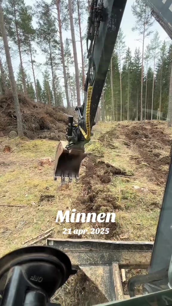 @Mikael T