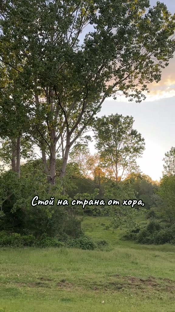 @Aneliya Lalova