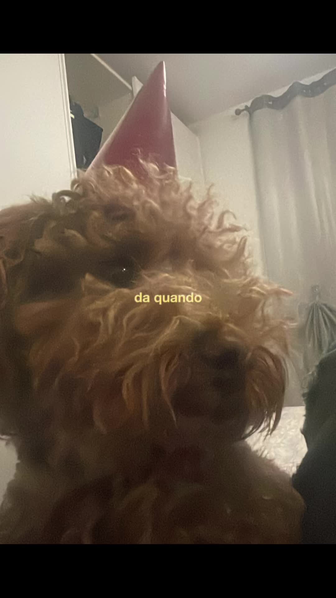 @Auriii🇦🇱🇮🇹