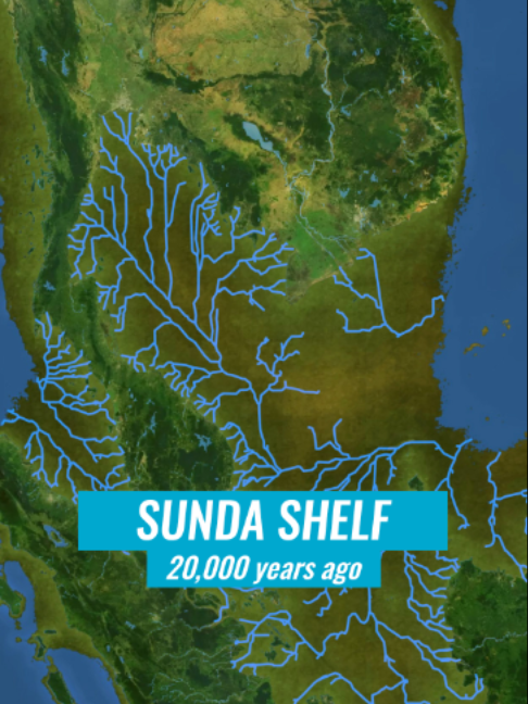 @Fishipedia world