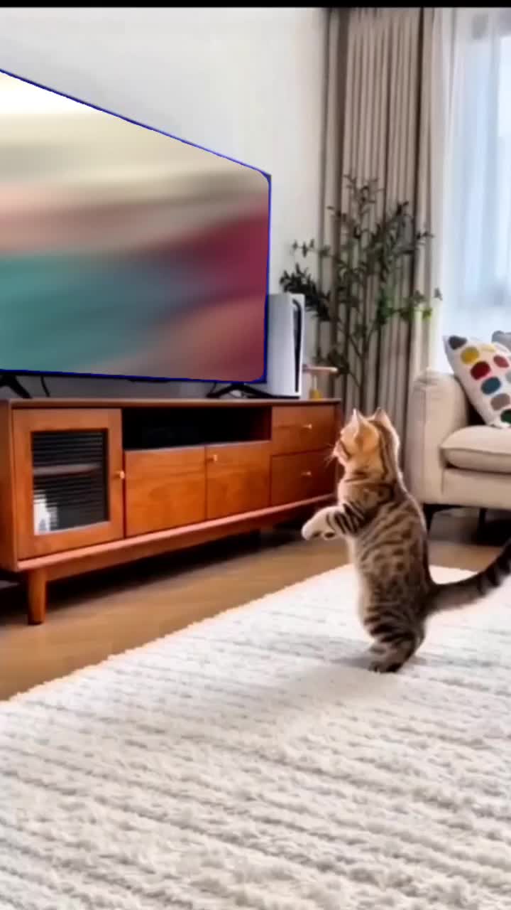 @Enzogius