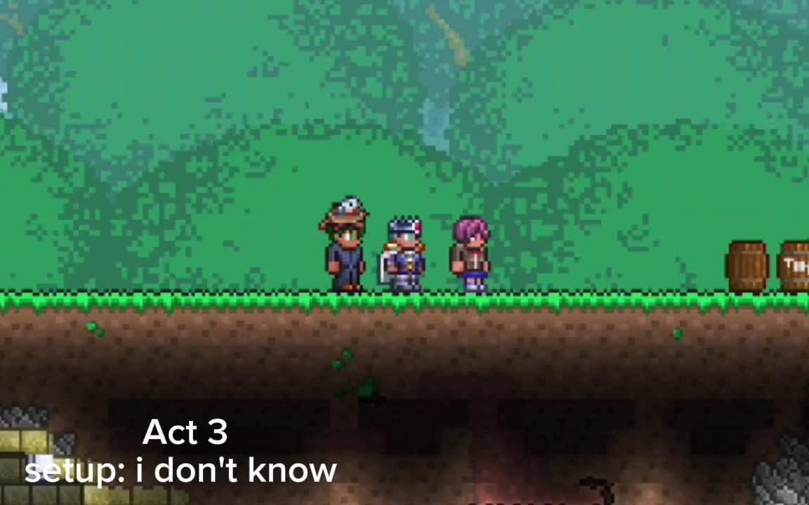 @terraria Mateusz