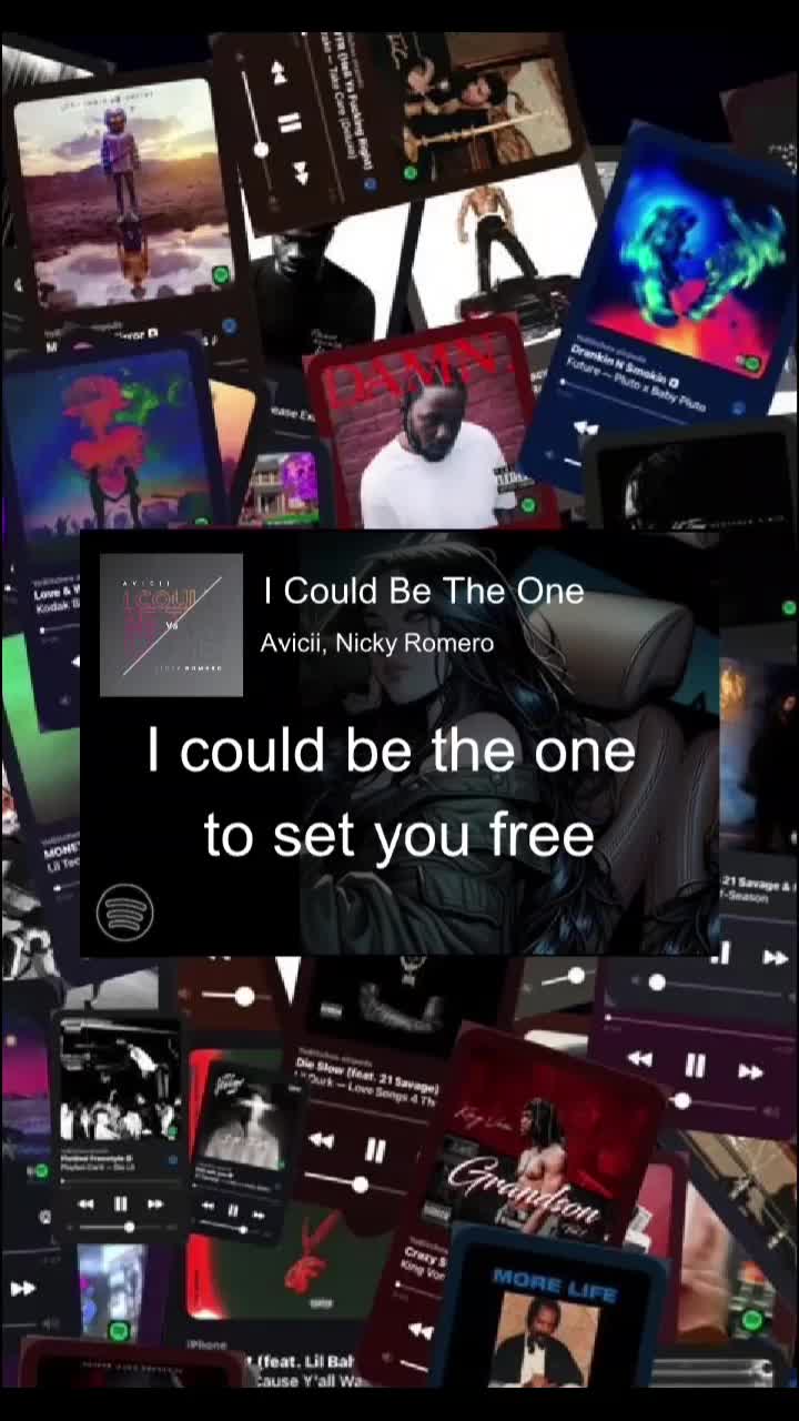 @🎶The Vibes🎧