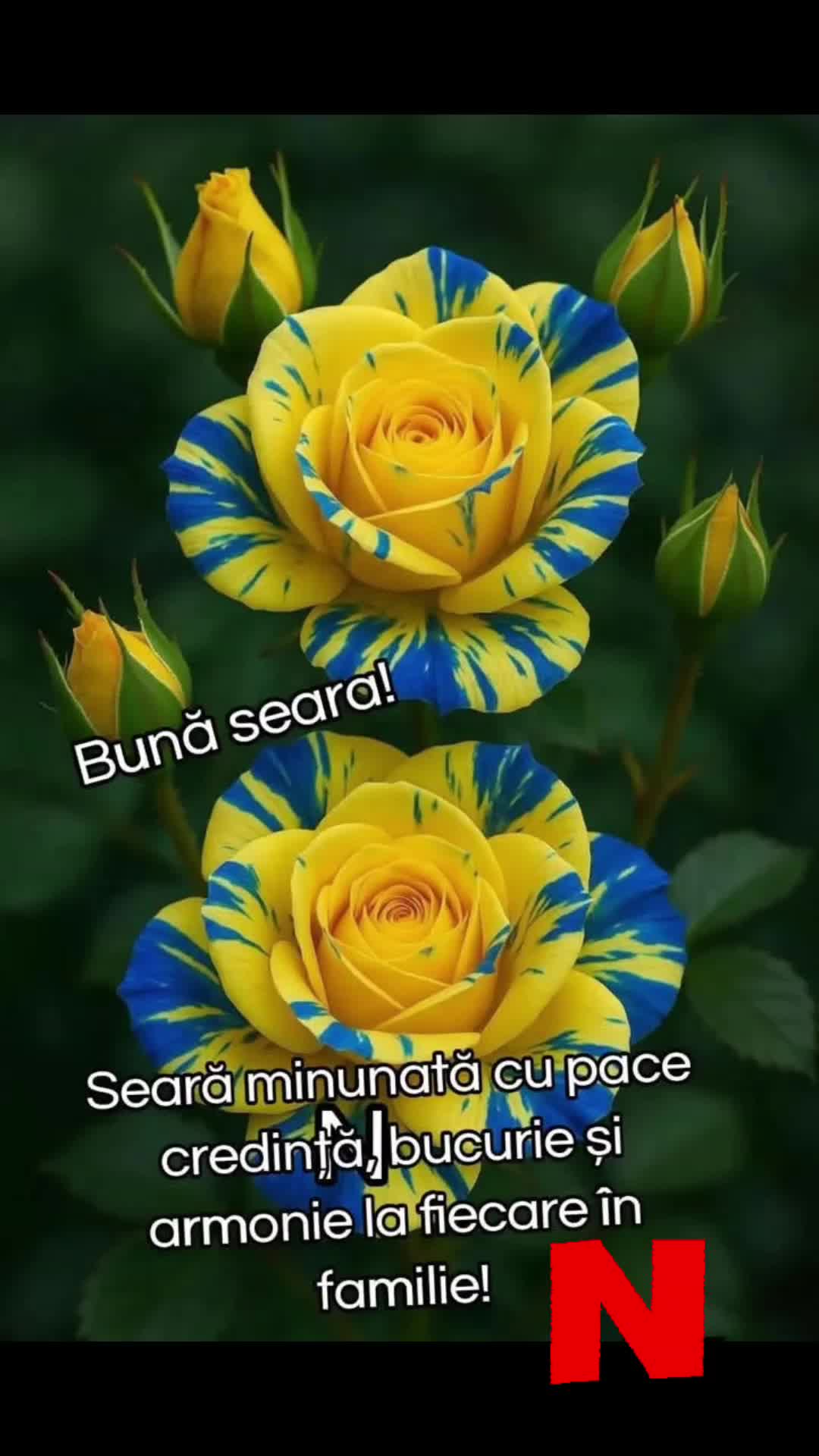 @Nicolae Iamandi