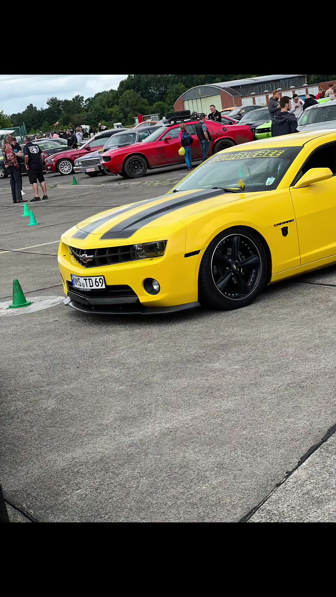 @Tanja & Bumblebee