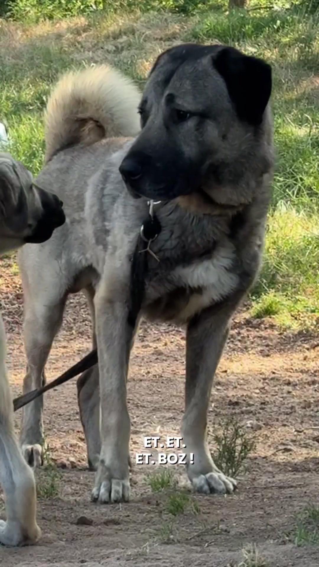 @Purekangal