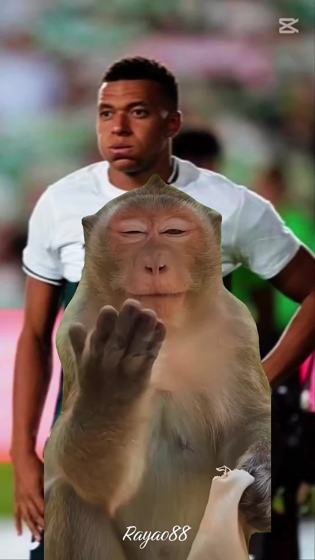 @Jesús🇪🇸
