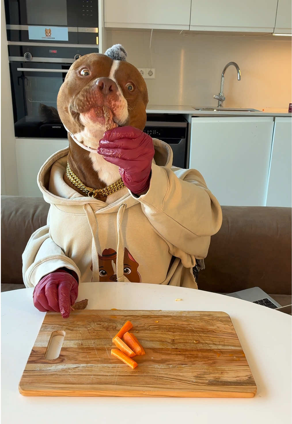 @Chocodogger