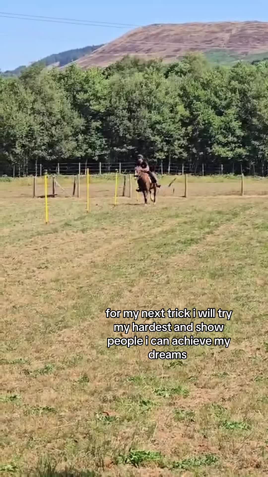 @shelbyshorseaccount