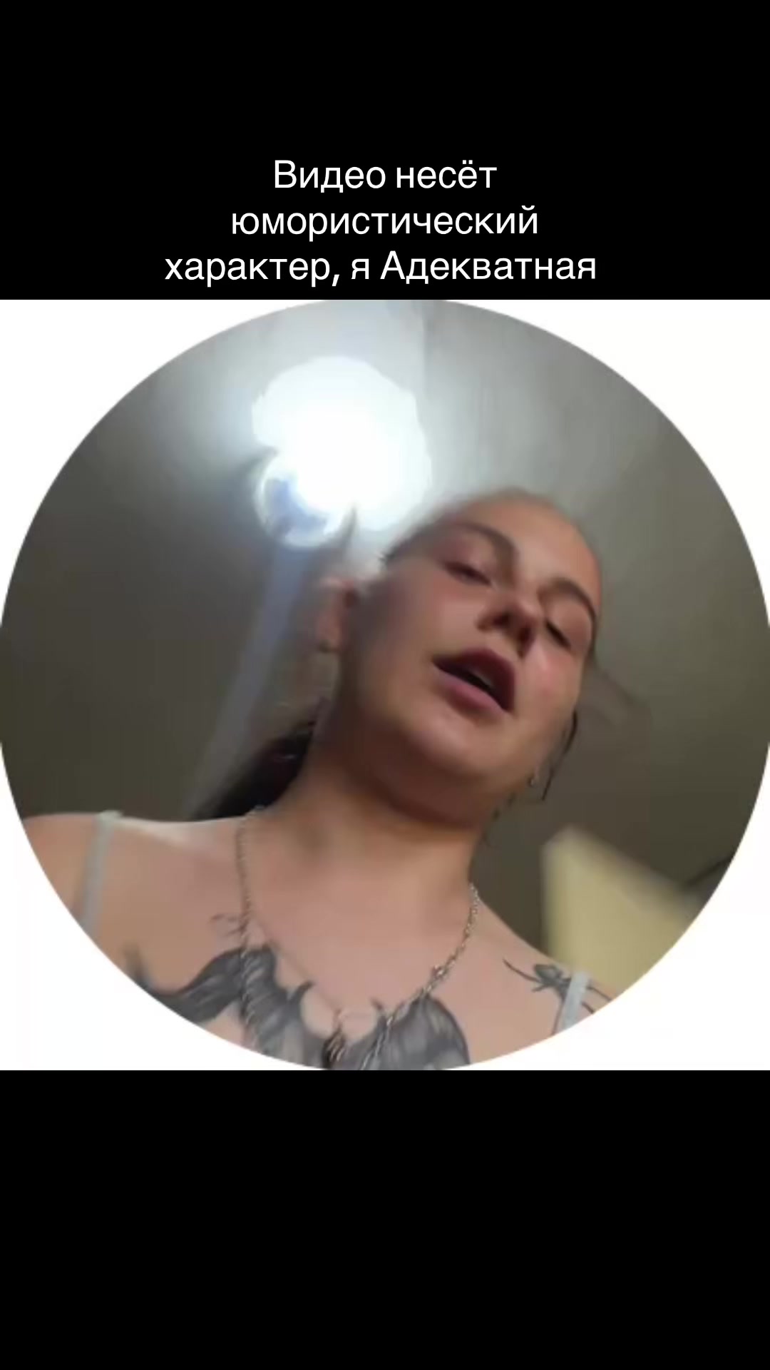 @tancha23_