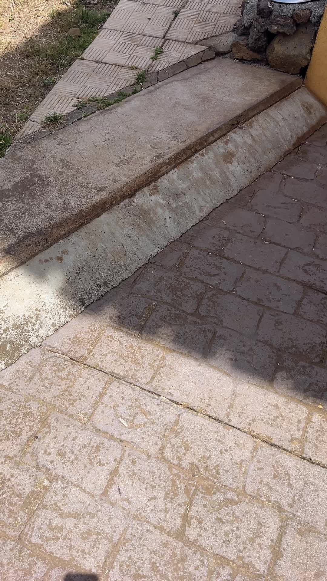 @Michacho💕💕