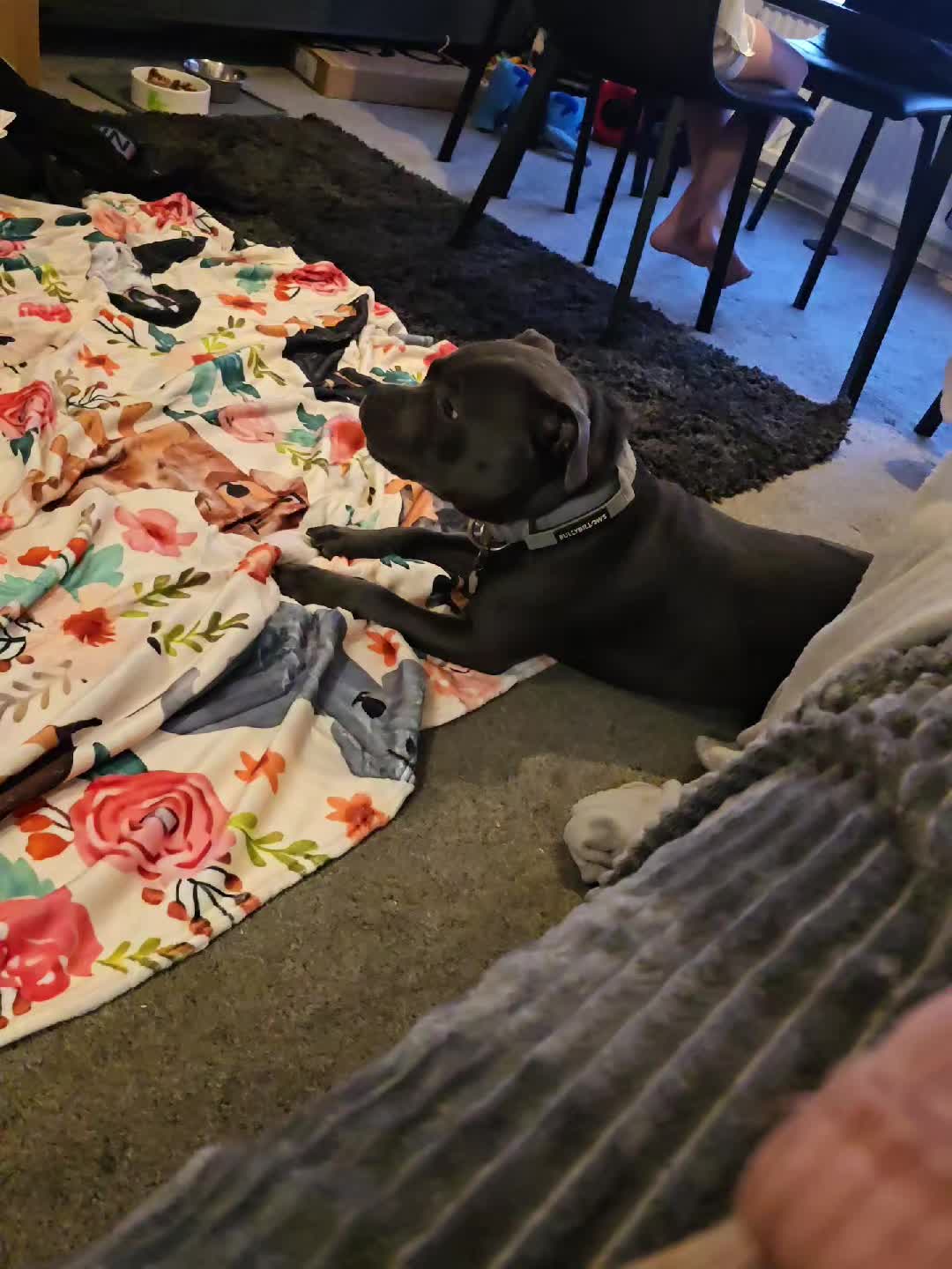 @𝕆𝕕𝕚𝕟🐾