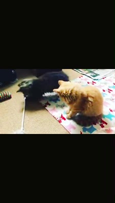 @Will Hessey