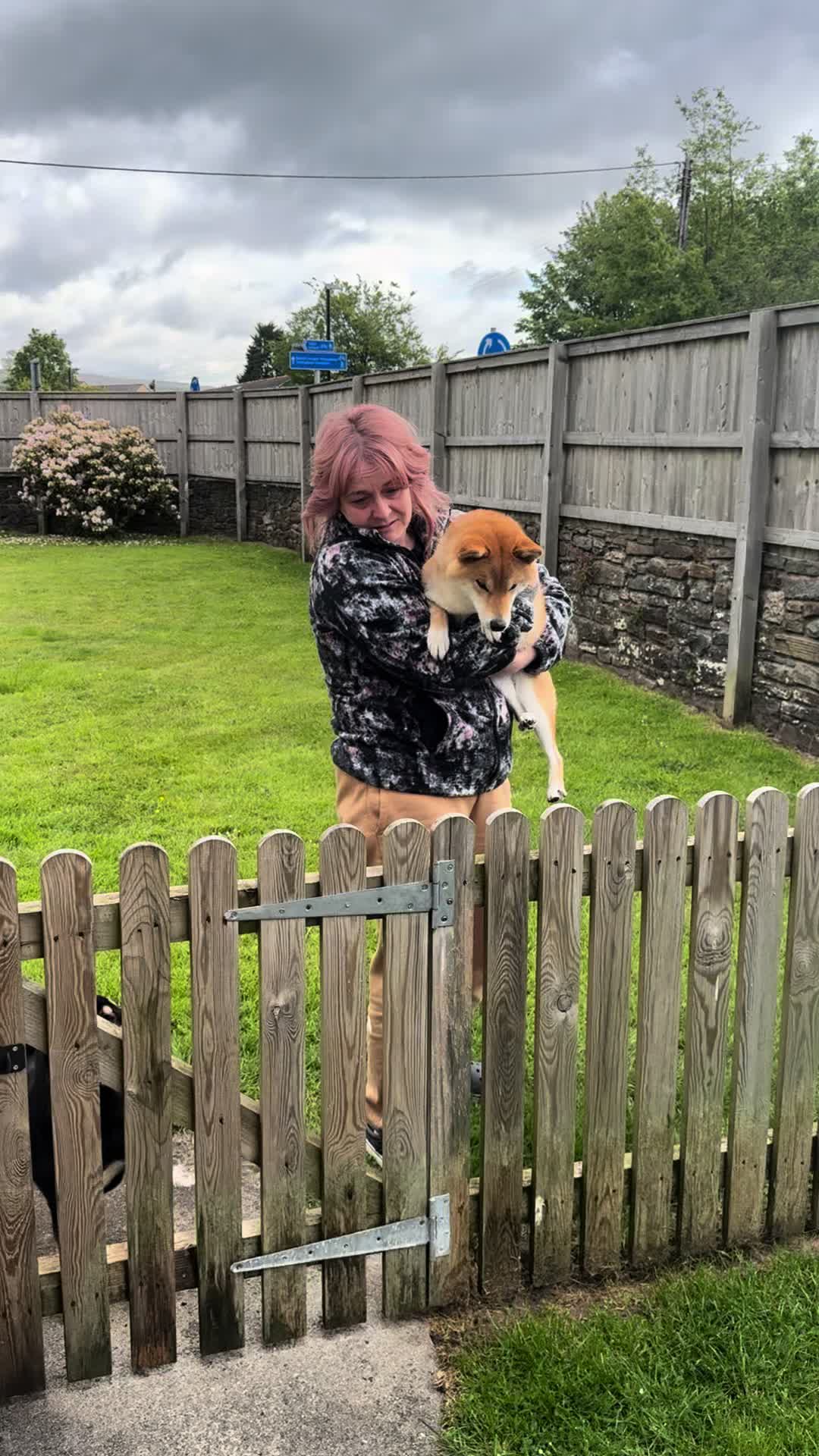 @Life with Shibas