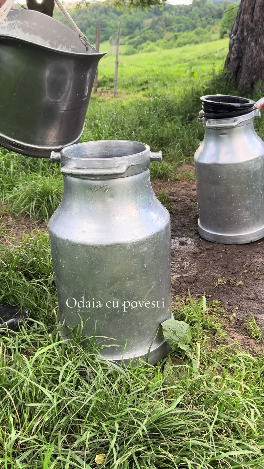 @Odaia cu povesti