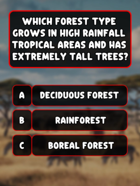 @Quiz Master 365